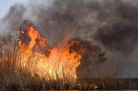 В Саках сохраняется пожароопасная ситуация